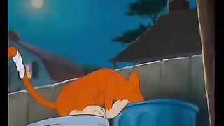 Tom and Jerry funny videos 2