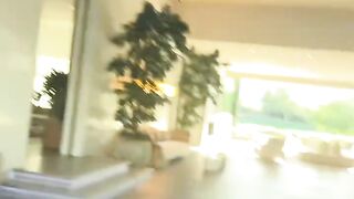 My fans 2