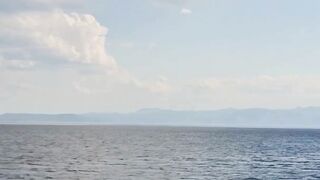 Beautiful nature 294