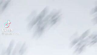 Beautiful Actinic for Song