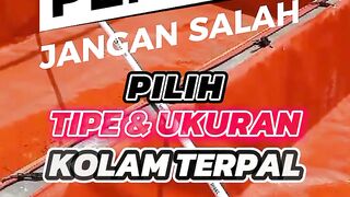 PEMULA : Jangan salah PILIH Ukuran & Tipe kolam TERPAL