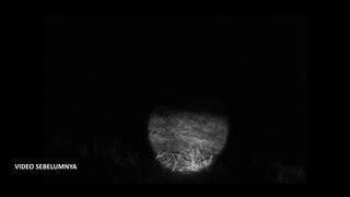 DISTURBED BY SUPERNASSIVE FIREBALLS FROM BANASPATI WHILE SEARCHING FOR THOSE WHO WERE LOST!