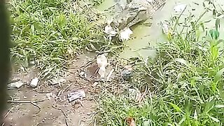 I need a revenge spell caster+2349064955666 ...