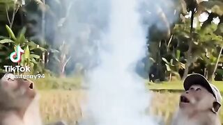 Money Funny Video
