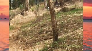 udah joki hapal map pula