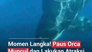Fenomena langka terjadi di perairan Kepulauan Banda! ????