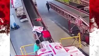 Malah rol belakang