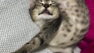 nyenyak bangettt