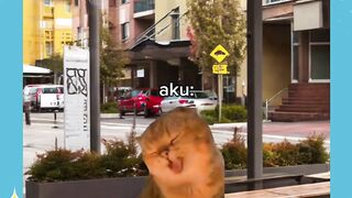 ngeselin banget jir