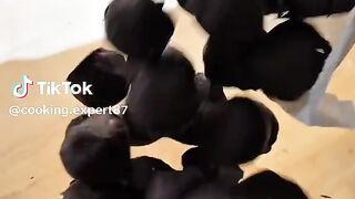 coconut chocolate balls