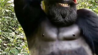 Funny videos 721