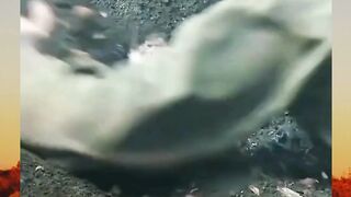 Prajurit tanpa senjata, pahlawan tanpa tanda jasa
