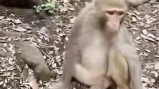menghayati banget nyet