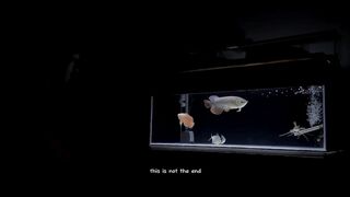 Manusia,ikan,dan memo