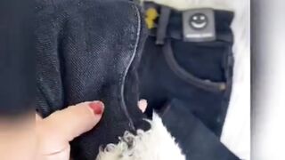 Outono E Inverno Jeans