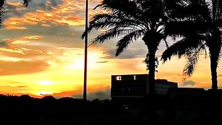 Golden Sunset with Palm Trees ????✨ | Relaxing Evening Vibes