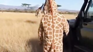 Funny Animal Costumes ???????? | People Acting Like Animals