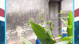 Syok banget????