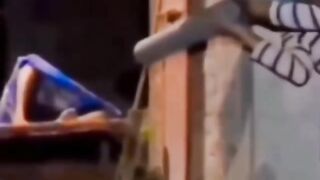 Funny videos 735