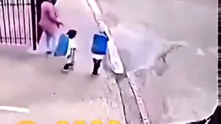 Funny videos 740