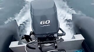 Penguins Jump into a Boat to Flee Orcas