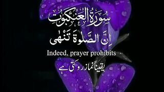 Tilawat e Quran Majeed 63