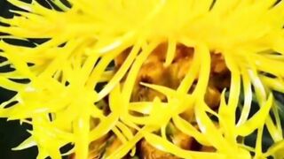 Beautiful nature 295