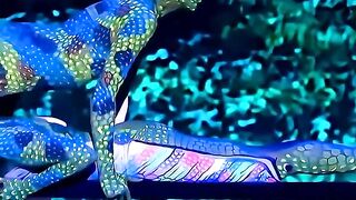 Diferencia "imitar" de "mimetizar".#ortografía #morfología #aprendelexico #PAU #spanishteacher