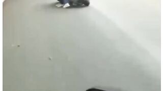 Funny videos 752
