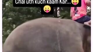 Funny videos 753