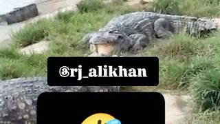 Funny videos 756