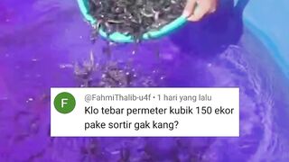 SORTIR itu WAJIB bagi saya Tapi TIDAK bagi kalian