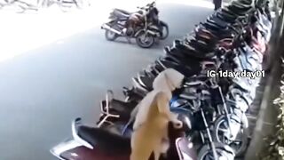 Funny videos 762