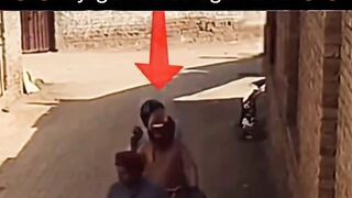 Funny videos 768