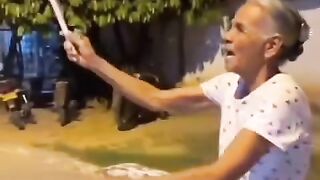 Funny videos 772