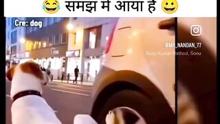 Funny videos 773