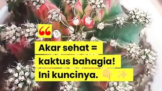 Healthy Roots, Thriving Plants