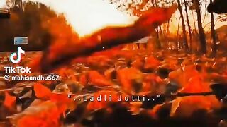 Feel This Song 15