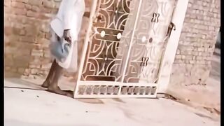Funny videos 791