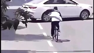 Funny videos 804