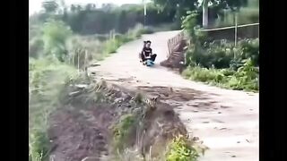 Funny videos 805