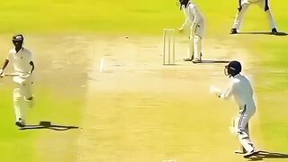 Funny videos 806