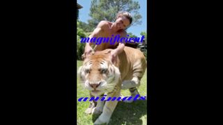 funny,magnificent animals