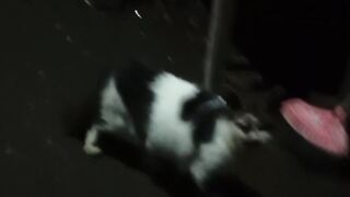 hitam putih