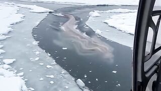 Monsters under the ice