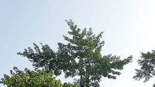 pagi yang dingin