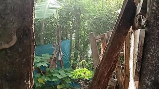 hijaunya pepohonan