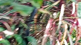 pagi yang indah