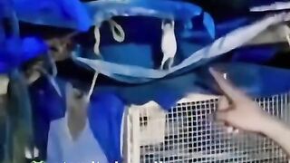 Funny videos 812