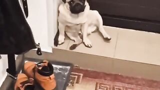 Джагер